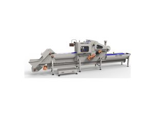 ONION PEELER USM-S100